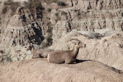 Visiting Badlands National Park Travel Guide – MY Travel BF