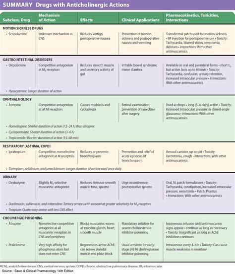 Types Of Anticholinergic Drugs