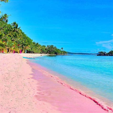 Pink sand beach philippines - Nupics.pro