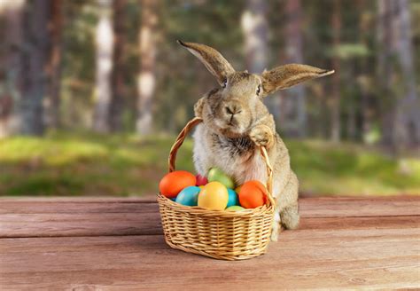 Interesting facts about Easter