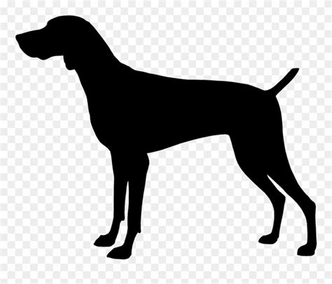 Gsp Dog Clipart - Best Free Library