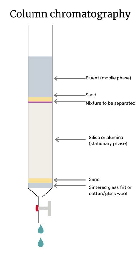 What is chromatography and how does it work? | Bioanalysis Zone