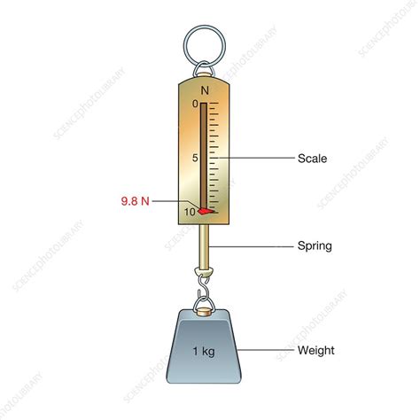 One kilogram mass on a newton meter, illustration - Stock Image - C042/4389 - Science Photo Library