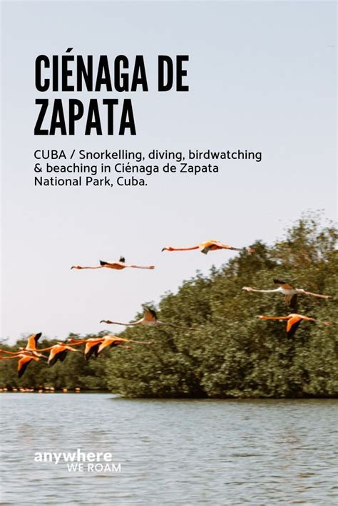 Complete Guide To Ciénaga De Zapata, Cuba | Anywhere We Roam | Cuba island, Wildlife travel ...