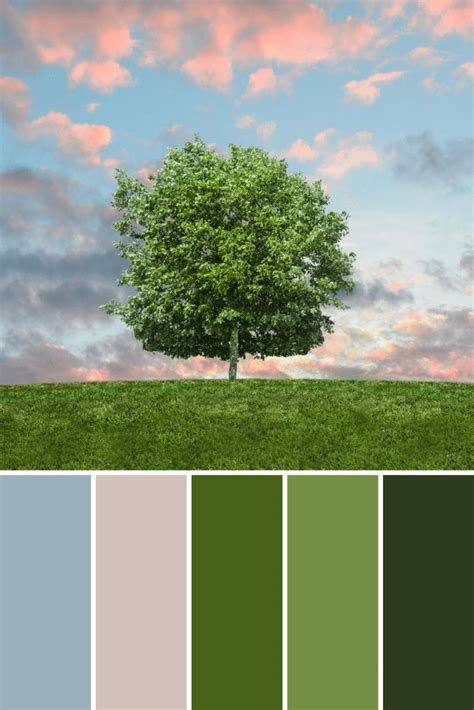 Tree Color Palettes - This Growing Home | Summer color palette, Palette, Winter color palette