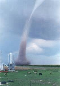 Scott City, Kansas (1996) Tornados, Thunderstorms, All Nature, Science And Nature, Amazing ...