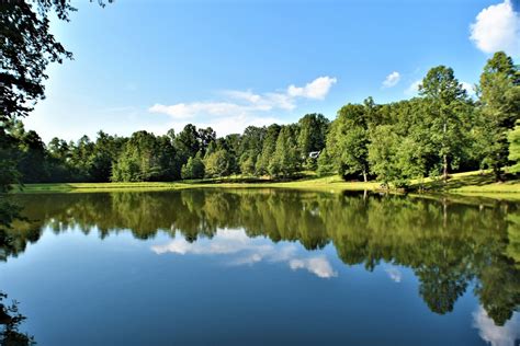 Blue Sky Cabin Rentals: Bird Song Lake