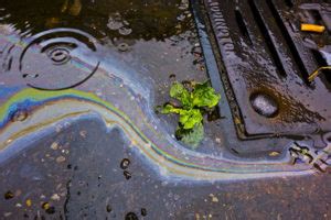 Polluted Stormwater Runoff - Housatonic Valley Association