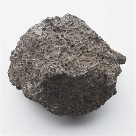 Pumice Rock Photograph by Dorling Kindersley/uig