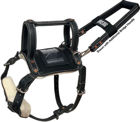 ActiveDogs Leather Service Dog Mobility Harness w/ ID Card Window