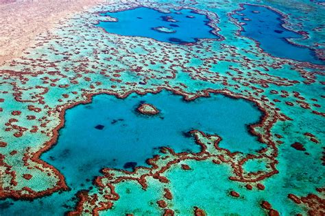 The Politics of Preserving Australia's Great Barrier Reef | TIME