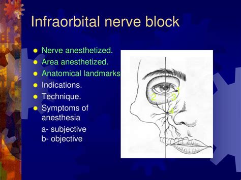 Infraorbital Nerve Block