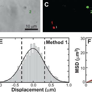 (PDF) Improving the quantification of Brownian motion