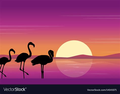 Art flamingo silhouette scene at sunset Royalty Free Vector