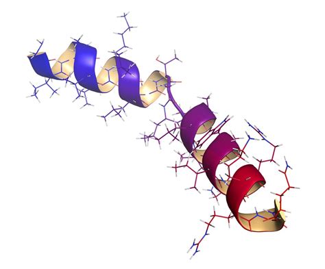 A Brief History of and Guide to Peptide Mapping