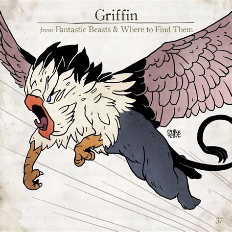 Griffin – Harry Potter Lexicon