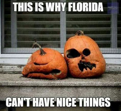 Pin by Bill Acton on FLORIDA | Fall memes, Fall humor, Florida funny