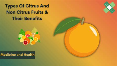 Types Of Citrus And Non Citrus Fruits & Their Benefits – List Of Both Included