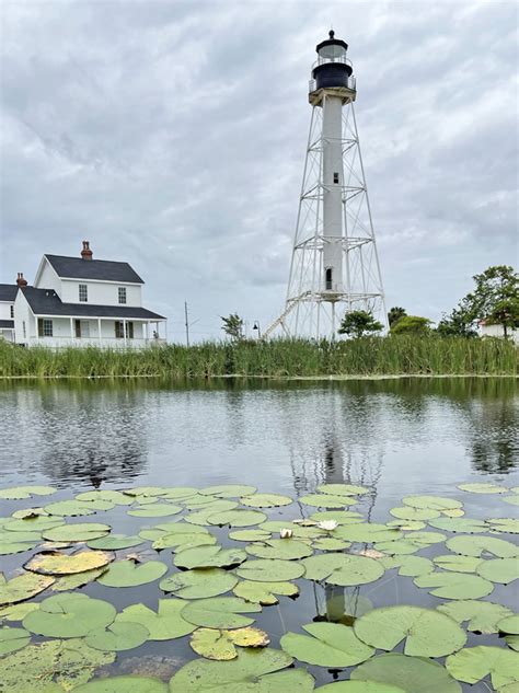 Cape San Blas Lighthouse, Florida at Lighthousefriends.com