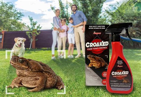 What you can do - Croaked - Cane Toad Control