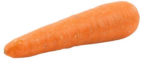 Fat Orange Carrot PNG Image - PurePNG | Free transparent CC0 PNG Image Library