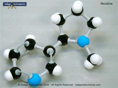 Nicotine Molecular Model, Assembled