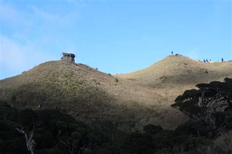 Camp 2 - Mt Pulag | Outdoors adventure, Mt pulag, Natural landmarks