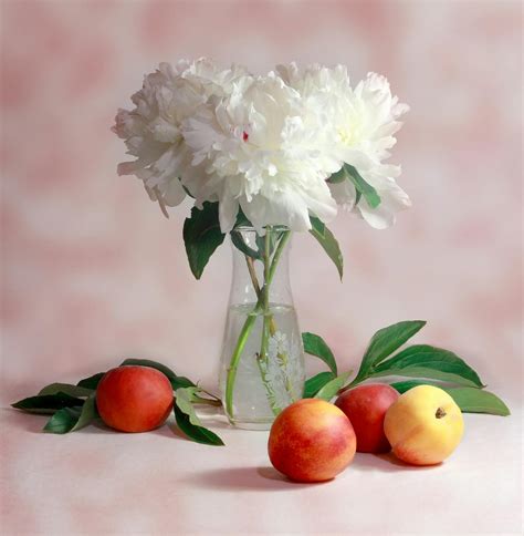 Selective Focus Photography of White Cluster Flower in Clear Glass Vase ...