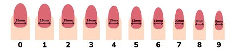 Fingernails Size Chart: What's My Nail's Size?