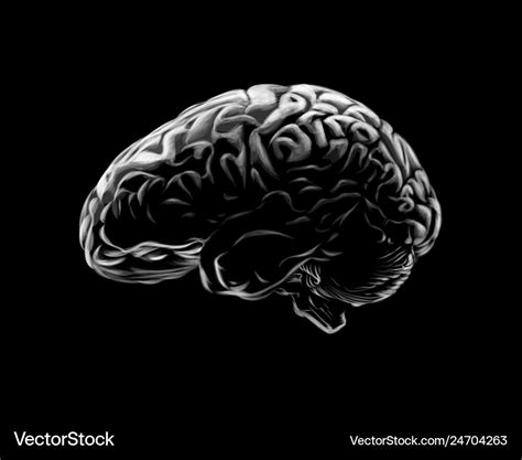 Human brain on a black background hand drawn Vector Image