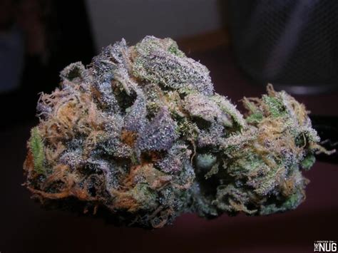 God's Gift Strain | Marijuana Strain | weed-fans.com