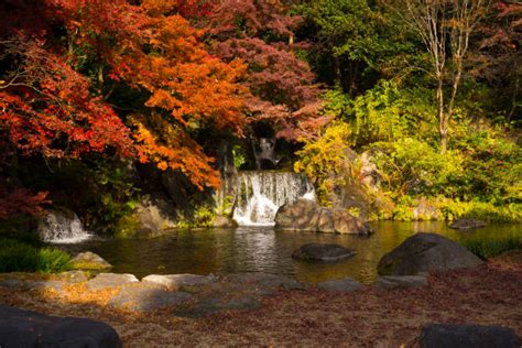 10,700+ Autumn Japanese Waterfalls Stock Photos, Pictures & Royalty ...