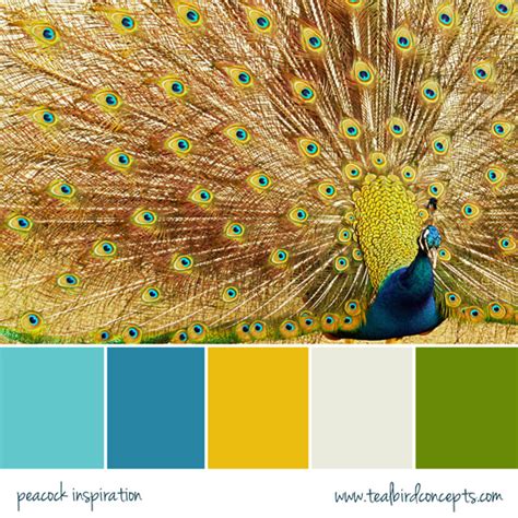 Peacock Teal & Gold Inspiration – Teal Bird Concepts