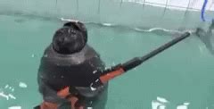 Navy Seals GIF - Navy Seals Pun - Discover & Share GIFs