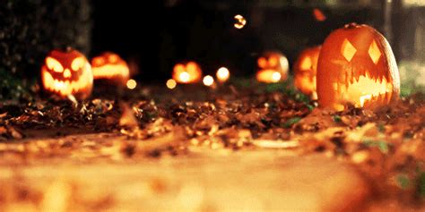 Halloween GIF - Halloween - Discover & Share GIFs