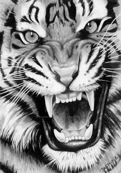 Roaring Tiger - Graphite Drawing by JasminaSusak.deviantart.com on ...