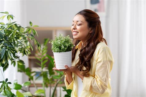 Top 10 Indoor Plants To Purify Air, According to NASA Expert