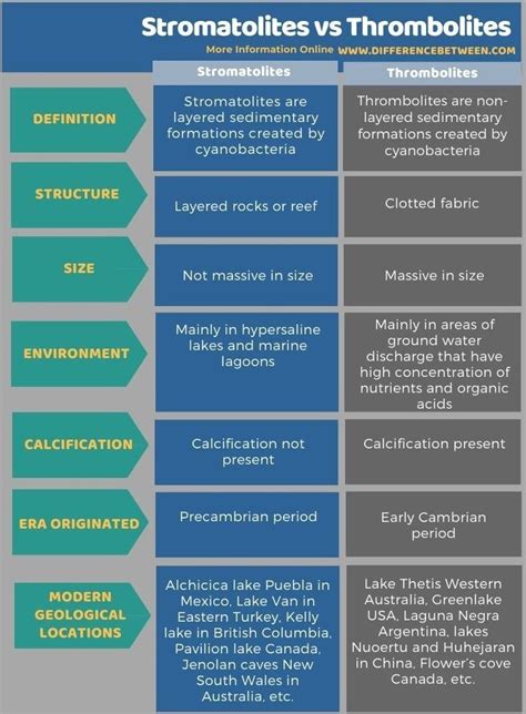 Stromatolites vs Thrombolites - Tabular Form