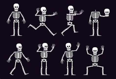 Animated Clipart Skeleton