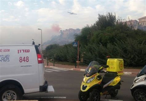 Two injured as forest fires break out across Israel - Israel News - The ...