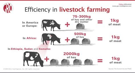 Pin by Chris Blackburn on Economics | Livestock farming, Livestock, Farm