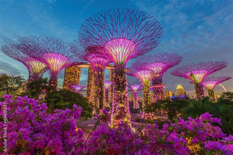 Night view of The Supertree Grove at Gardens by the Bay Stock-Foto ...