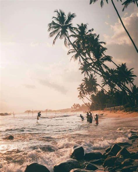 10 Best Beaches in Sri Lanka | Beach images, Tropical beaches, Beach paradise