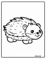 38 Porcupine Coloring Pages Free PDF Printables  Simply Love sketch template