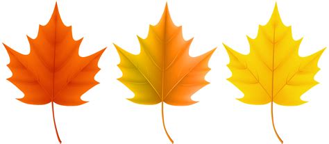 Autumn Leaves Clipart Clip Art Library Png Maple Leaf - vrogue.co