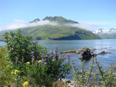 Weather | City of Unalaska - International Port of Dutch Harbor