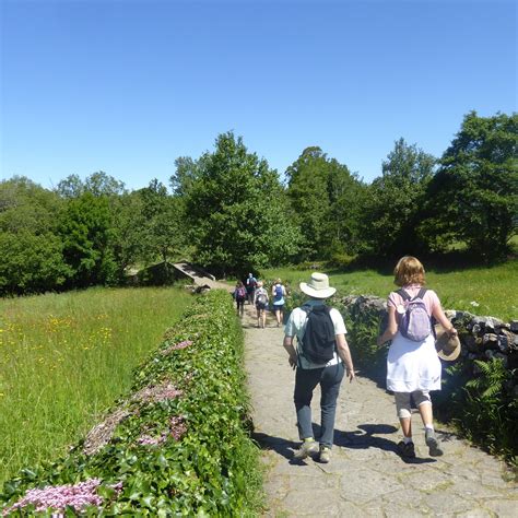 Follow The Camino (Santiago de Compostela, Spanien) - omdömen - Tripadvisor