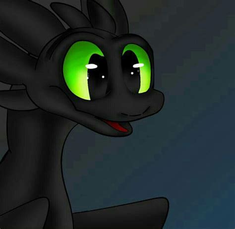 Some fanart of toothless and the lightfury~ | H.T.T.Y.D Amino