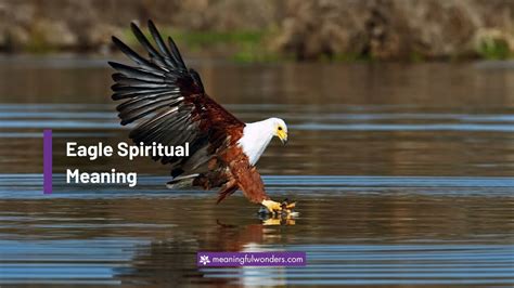 8 Eagle Spiritual Meaning: Right Source of Great Spirit & Power