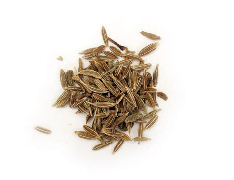 cumin seeds, photos, #1319833 - FreeImages.com